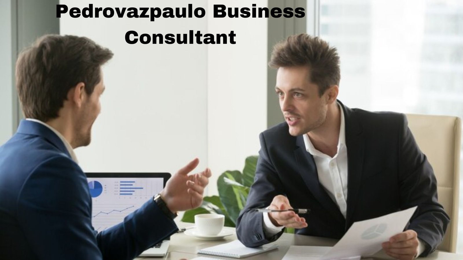 Pedrovazpaulo Business Consultant An Account of Progress