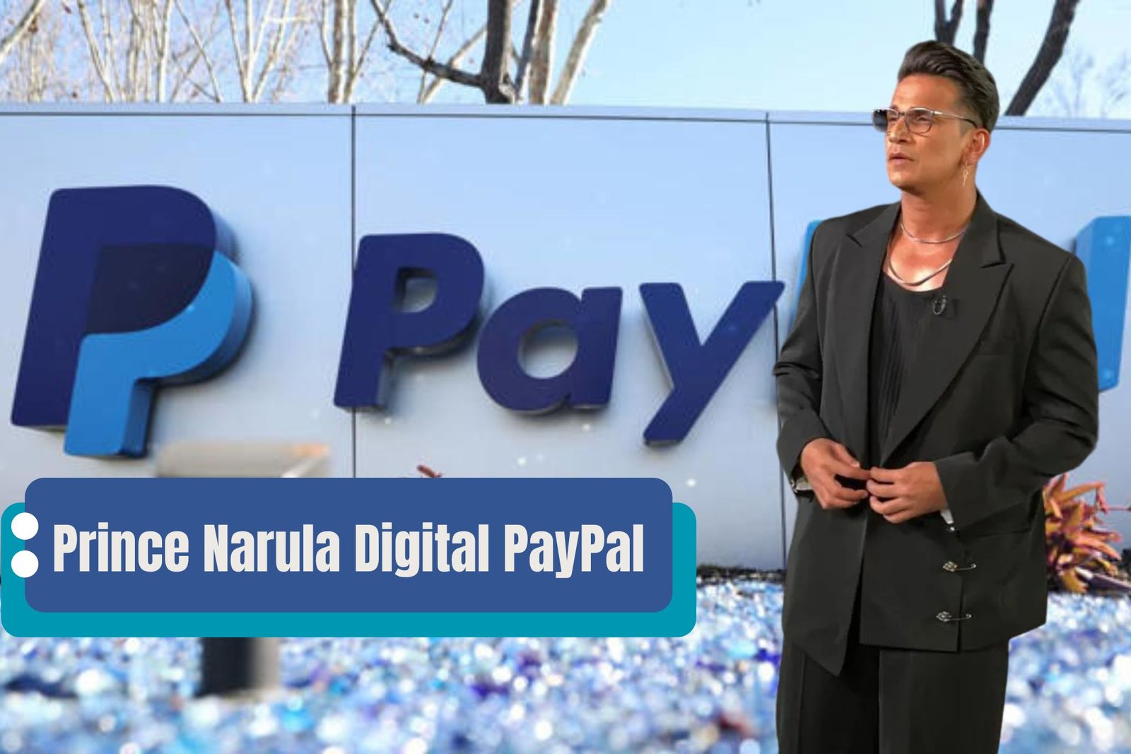 Prince Narula Digital PayPal the Web Installments